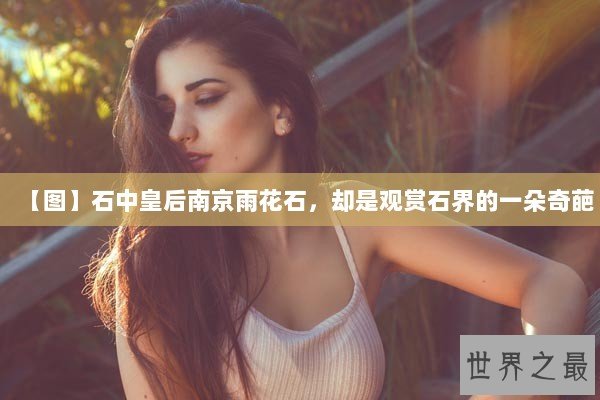 【图】石中皇后南京雨花石,却是观赏石界的一朵奇葩 【图】石中皇后南京雨花石,却是观赏石界的一朵奇葩