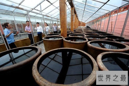 【图】山西老陈醋香气十足作用多 不只能护肤还能治病