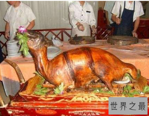 【图】中国十大禁菜,生吃猴脑活剖乳羊(堪称是仁慈
