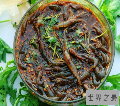 【图】中国十大禁菜,生吃猴脑活剖乳羊(堪称是仁慈