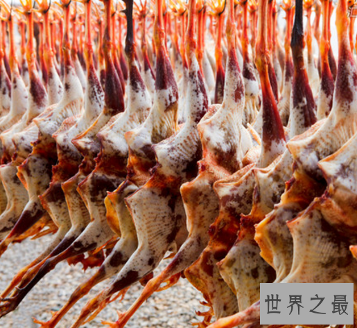 【图】中国十大禁菜,生吃猴脑活剖乳羊(堪称是仁慈