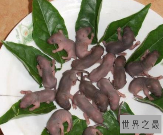 【图】中国十大禁菜,生吃猴脑活剖乳羊(堪称是仁慈