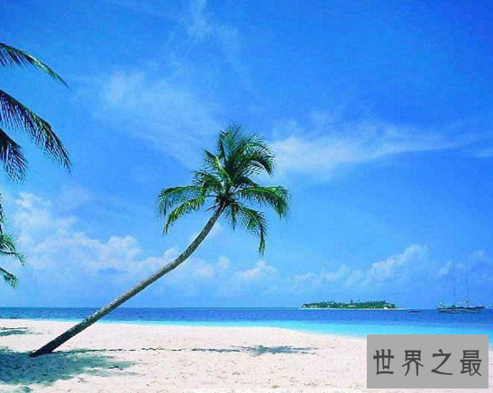 【图】中国十大魅力城市,灯红酒绿的好去处(穷游也