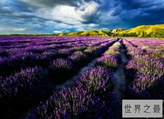 【图】国外旅行景点排行榜前十名 出国旅行必去的中央
