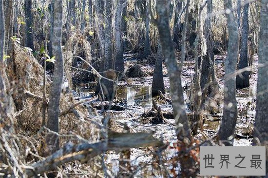 【图】寰球十大惊悚地点 胆怯者千万别猎奇点出去