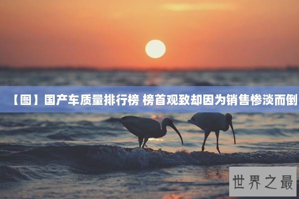 【图】国产车质量排行榜 榜首观致却因为销售惨淡而倒 【图】国产车质量排行榜 榜首观致却因为销售惨淡而倒