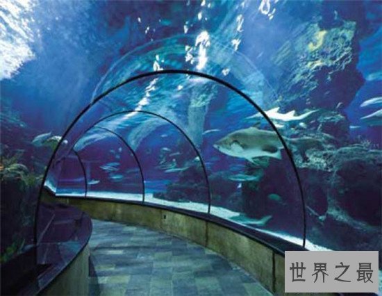 【图】南京有什么好玩的中央 南京7大景区玩得最舒心