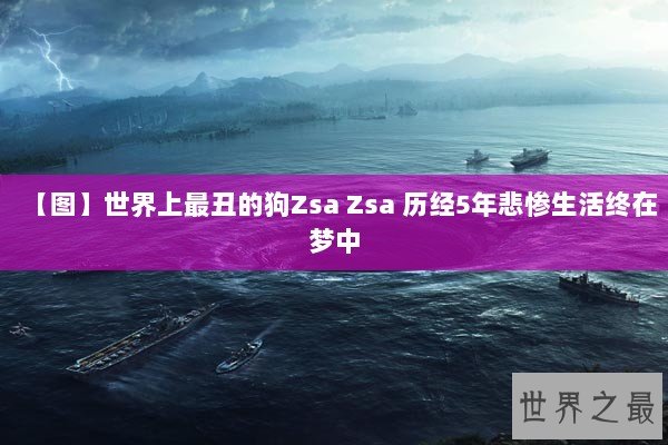 【图】世界上最丑的狗Zsa Zsa 历经5年悲惨生活终在梦中 【图】世界上最丑的狗Zsa Zsa 历经5年悲惨生活终在梦中