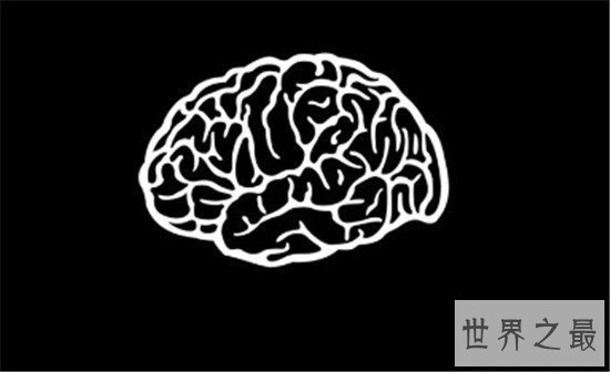 【图】金恩荣5个月谈判话3岁学微积分 智商高达210无人
