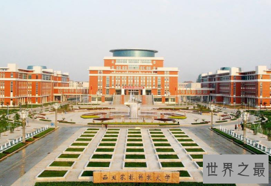 【图】陕西大学里排到前五都有谁 哪个最值得报考