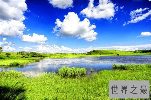 【图】中国四大草原分别是哪些 呼伦贝尔大草原成为天