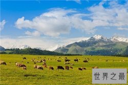 【图】中国四大草原分别是哪些 呼伦贝尔大草原成为天
