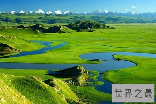 【图】中国四大草原分别是哪些 呼伦贝尔大草原成为天