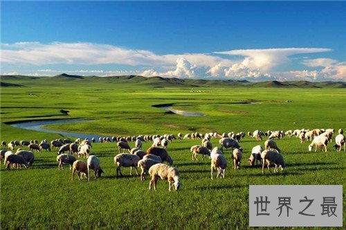 【图】中国四大草原分别是哪些 呼伦贝尔大草原成为天
