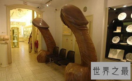 【图】史上最大大阳具你敢信吗 有那么大