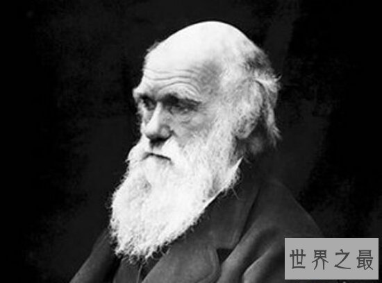 【图】达尔文退化论——本国人早已放弃这种观念