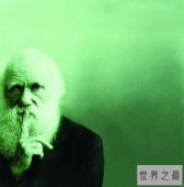 【图】达尔文进化论——外国人早已放弃这种观念