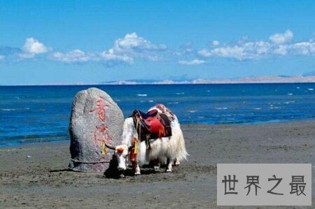 【图】中国最大淡水湖 简直是世间地狱