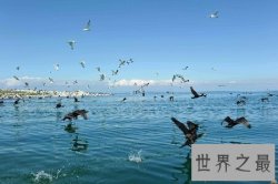 【图】中国最大咸水湖 简直是人间天堂