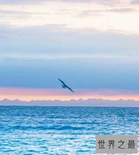 【图】中国最大淡水湖 简直是世间地狱