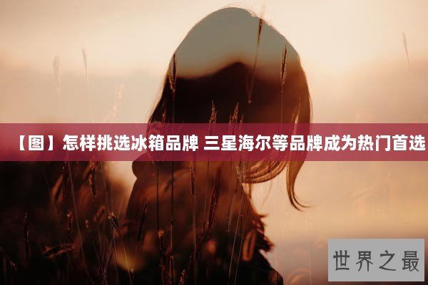 【图】怎样挑选冰箱品牌 三星海尔等品牌成为热门首选