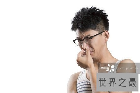 【图】世界第一宅男是哪位大神 他宅的境地可能设想