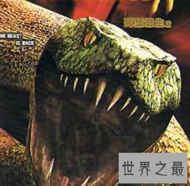 【图】恐惧重口蛇电影大全 千万不要本人一集体看