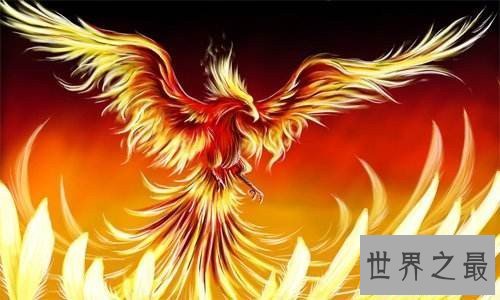 【图】中国十大神兽都有哪些 凤凰和麒麟都意味着不祥