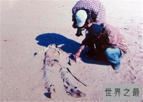 【图】中国十大悬案引见 白银连环杀人案多年初破解