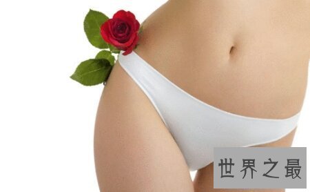 【图】女孩生殖器到底长什么样子 据说很迷人啊