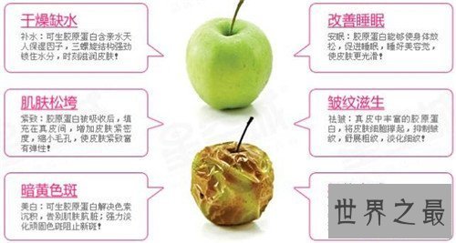 【图】胶原蛋白的效用与作用 什么工夫服用胶原蛋白最