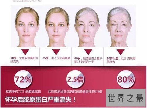 【图】胶原蛋白的效用与作用 什么工夫服用胶原蛋白最