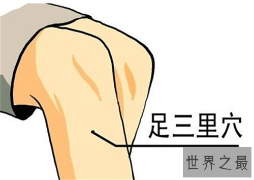 【图】足三里的准确地位图 一个具备抗衰老作用的穴位