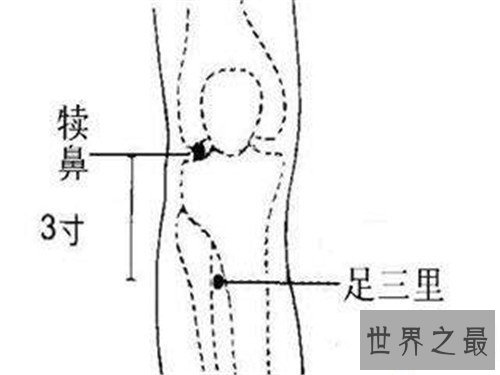 【图】足三里的准确地位图 一个具备抗衰老作用的穴位