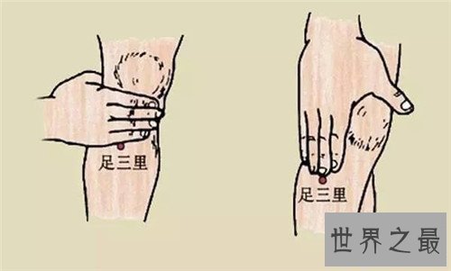【图】足三里的准确地位图 一个具备抗衰老作用的穴位