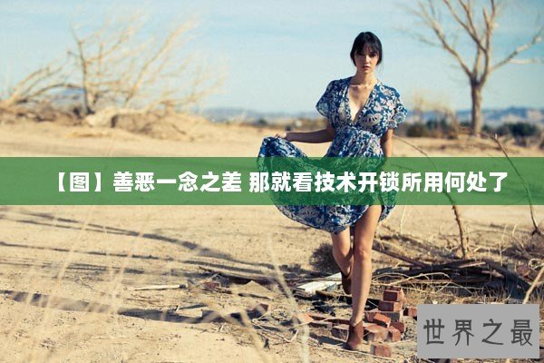 【图】善恶一念之差 那就看技术开锁所用何处了