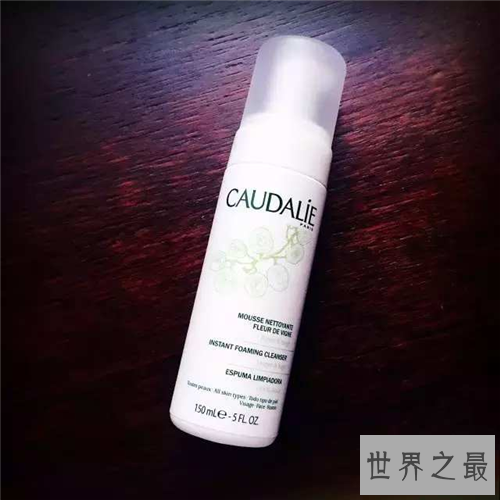 【图】氨基酸洗面奶有哪些 芙丽芳丝性价比最高