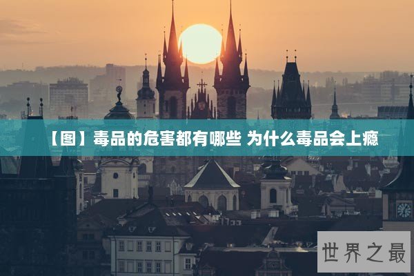 【图】毒品的危害都有哪些 为什么毒品会上瘾