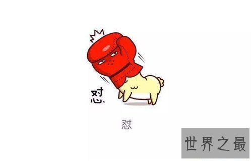 【图】怼怎样读 现在怼字已成为盛行汉字