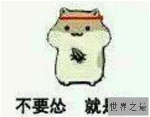 【图】怼怎样读 现在怼字已成为盛行汉字