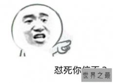【图】怼怎么读 如今怼字已成为流行汉字