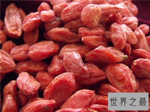 【图】枸杞子泡水喝的效用 枸杞的食用留意事项