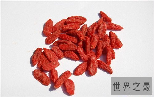 【图】枸杞子泡水喝的效用 枸杞的食用留意事项