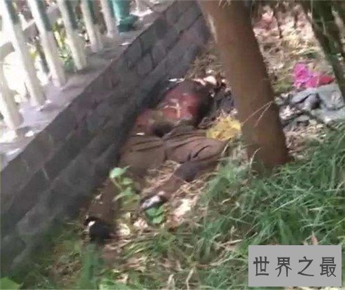 【图】伟人观构成工夫与影响 为什么会出现伟人观现象