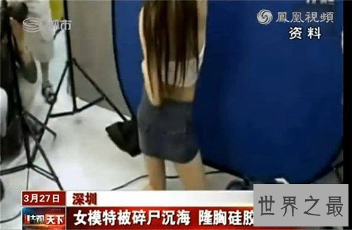 【图】深圳女模被害分尸案八天内告破 司机奸杀美女模