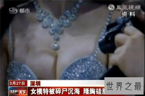 【图】深圳女模被害分尸案八天内告破 司机奸杀美女模