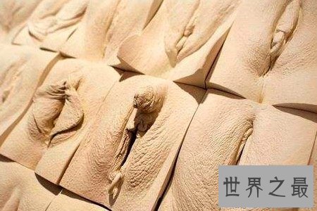 【图】最美阴部虽非常难看 下面这几种阴部也是非常好