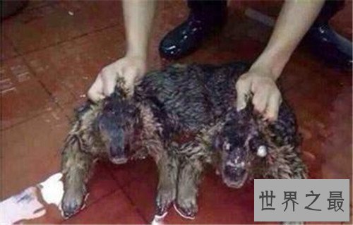 【图】水鬼图片长什么样 曾在长江捞起水鬼的尸体