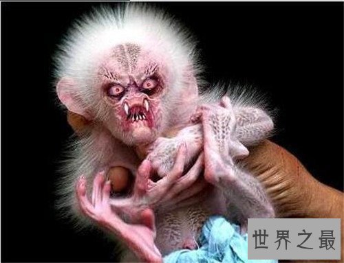 【图】水鬼图片长什么样 曾在长江捞起水鬼的尸体