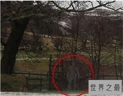 【图】最恐惧的图片引见 曾在事实中拍摄到的恐惧照片